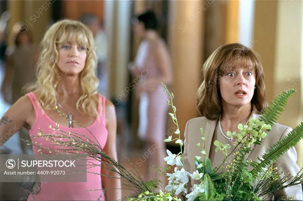 SUSAN SARANDON and GOLDIE HAWN in THE BANGER SISTERS (2002), directed by BOB DOLMAN.