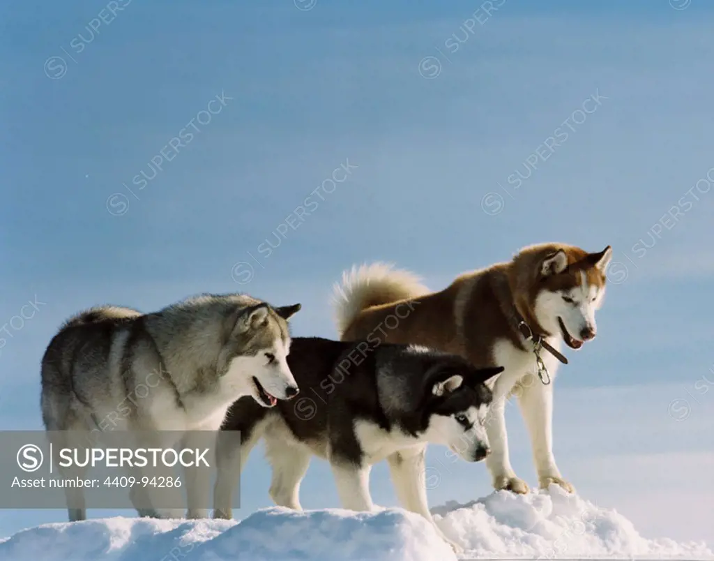 EIGHT BELOW (2006), directed by FRANK MARSHALL.