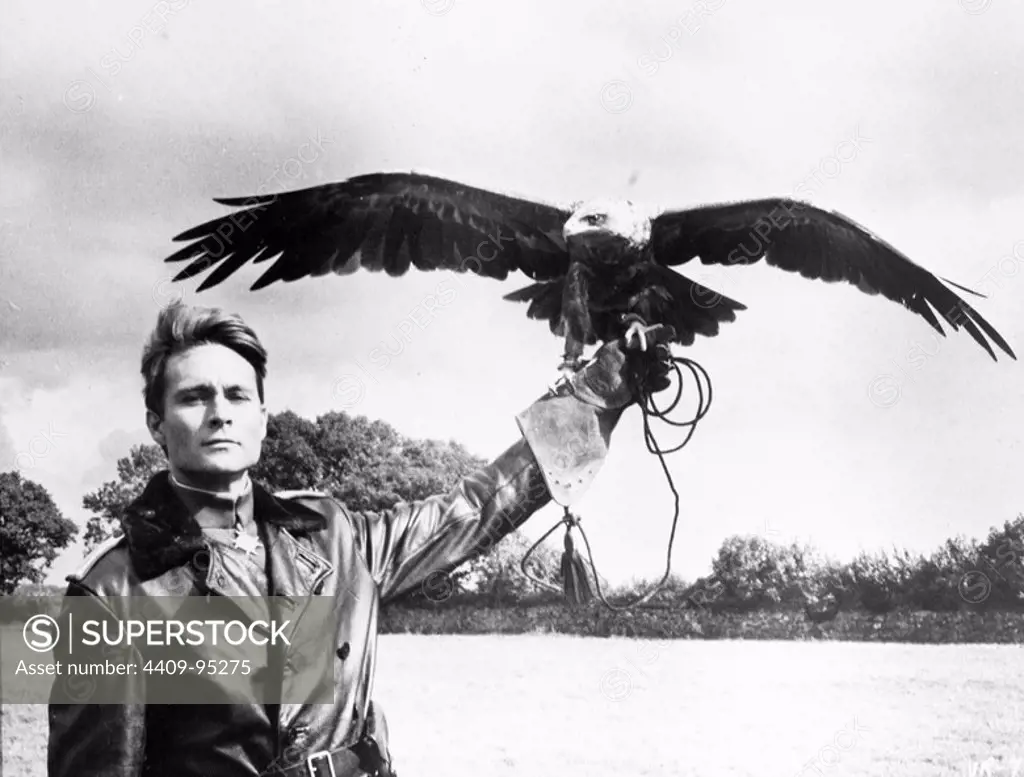 JOHN PHILLIP LAW in THE RED BARON (1971), directed by ROGER CORMAN.
