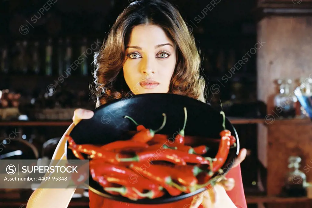 AISHWARYA RAI in MISTRESS OF SPICES (2005), directed by PAUL MAYEDA BERGES.