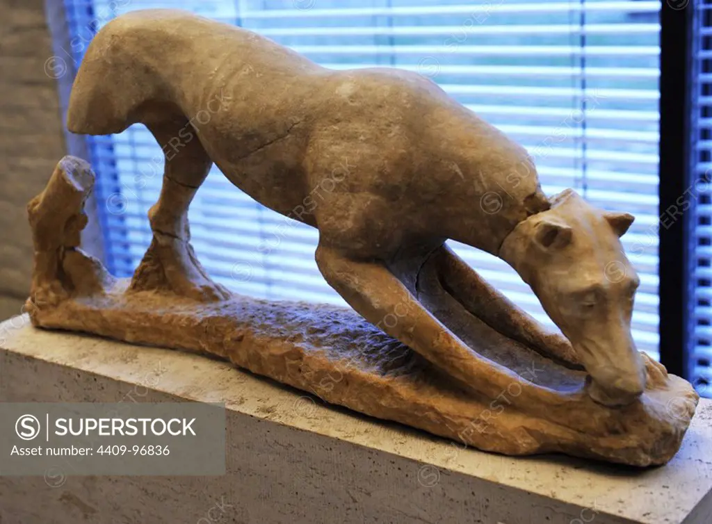 Greek art. Hunting dog. About 360 BC. Probably a grave adornment. Glyptothek. Munich. Germany.