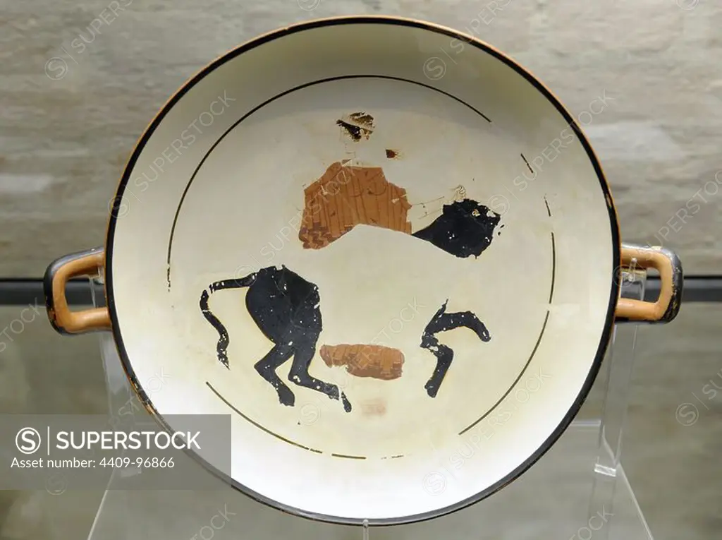 Dish with white background color depicting The Rape of Europa. Zeus transformed into a bull. Athens, ca. 470 BC. Glyptothek. Munich. Germany.