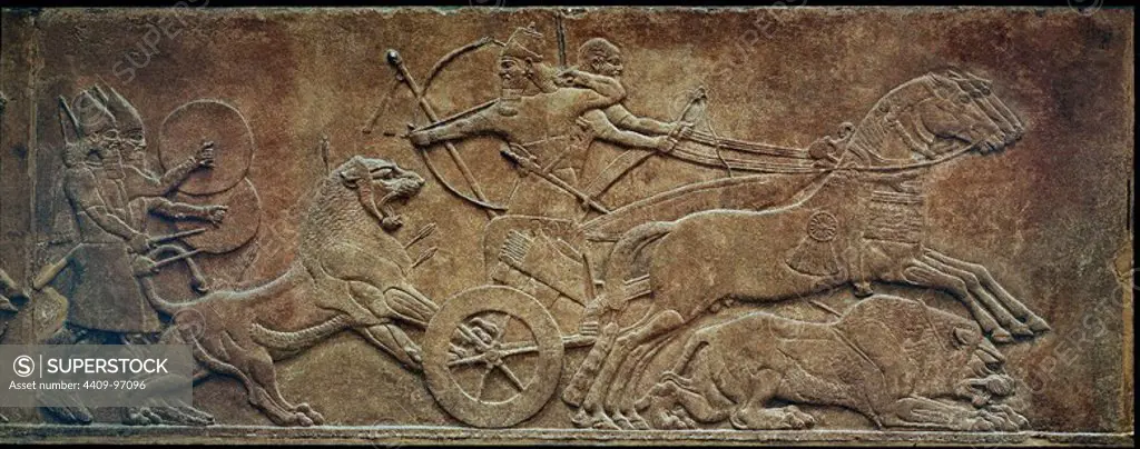 Assurbanipal hunting lions. Relief discovered in Ninive, capital of the Assyrian empire, known today as Tell Kouyoundjik and Tell Nebi Younous in Irak. 650 B.C.. London, British Museum. Location: BRITISH MUSEUM. LONDON. ENGLAND.