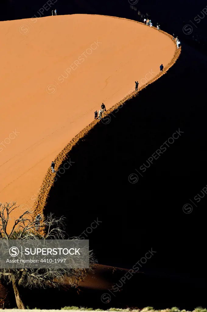 Tourists climbing giant sand dunes (Dune 45) at Sossusvlei, Namib Desert, Namibia