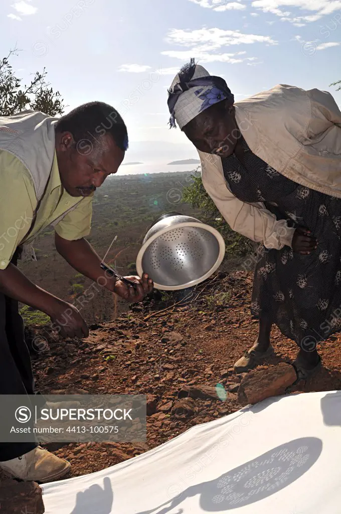 Projecting an annular solar eclipse through a sieve Kenya