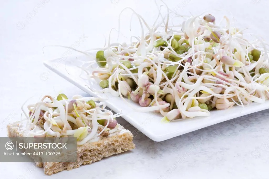 Germinated mung beans in a dish and on a piece of toast