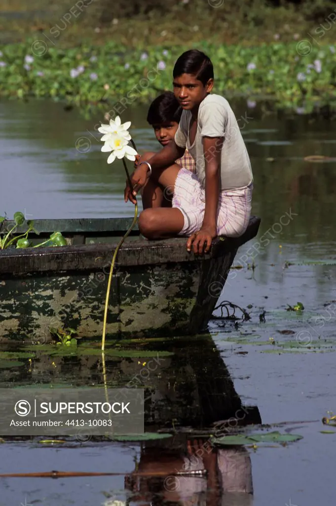 People gathering water lily in the Keoladeo NP India