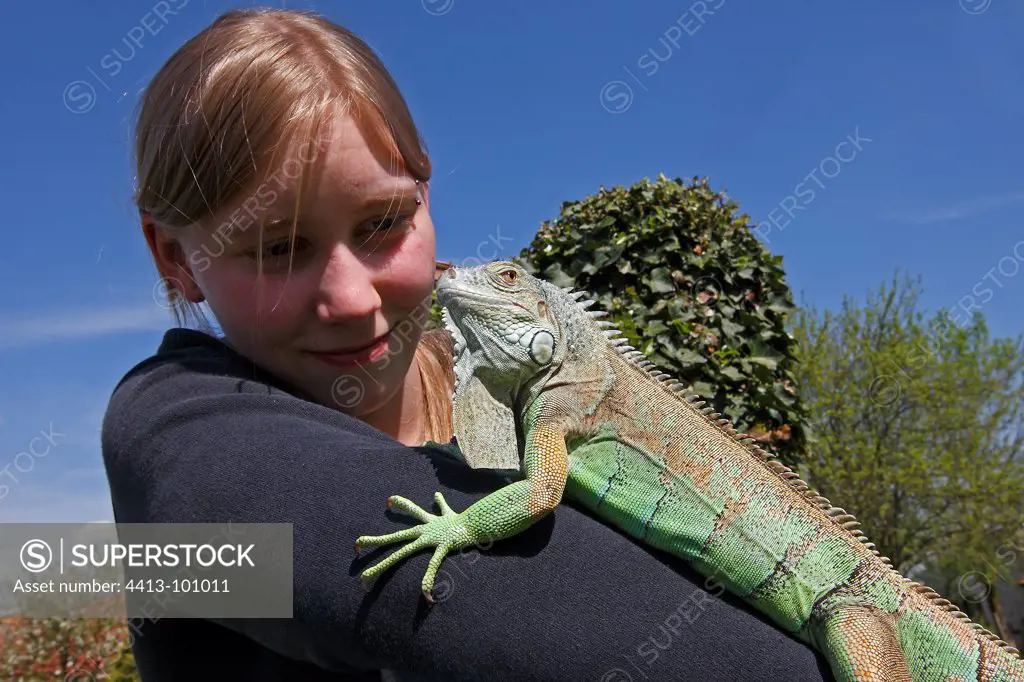Young girl wearing a green iguana in his arms France