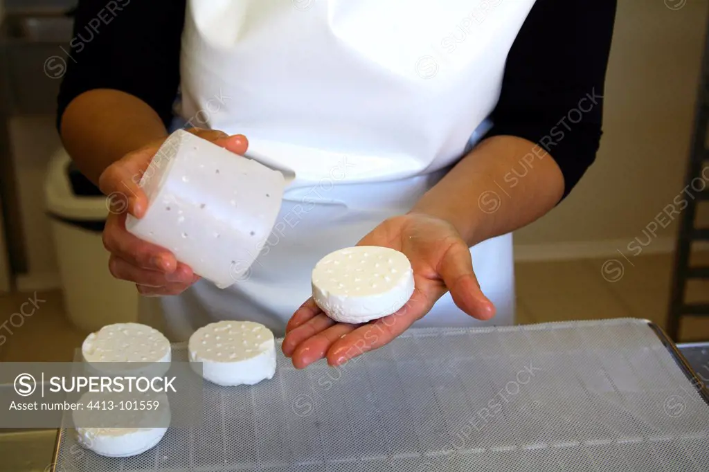 Removing of fresh goat cheese France