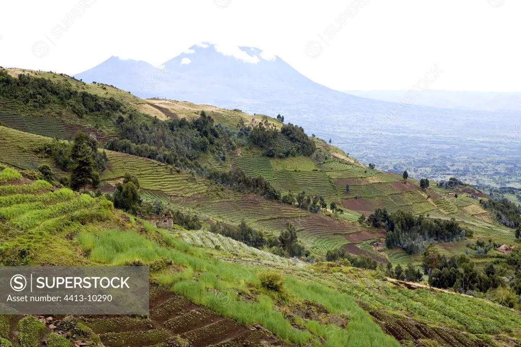 Agricultural landscape around the national park Rwanda