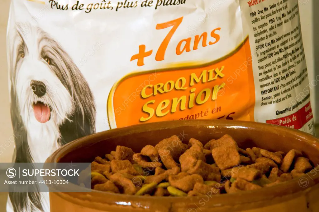 Croquettes for old dogs in a bowl France