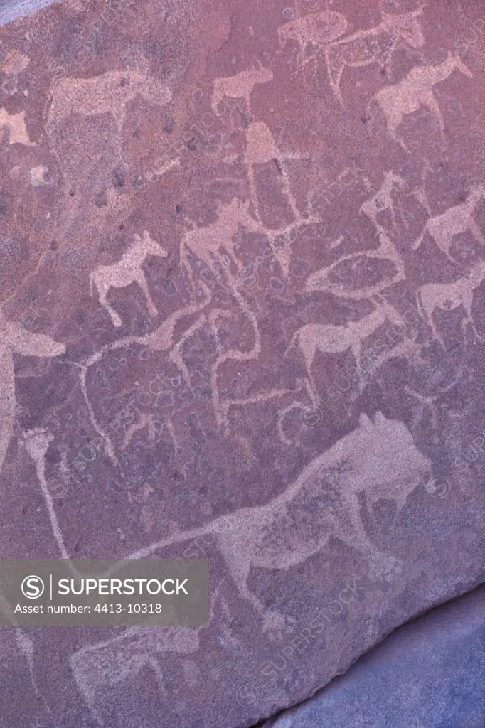Rupestral carving of animals Twyfelfontein Namibia