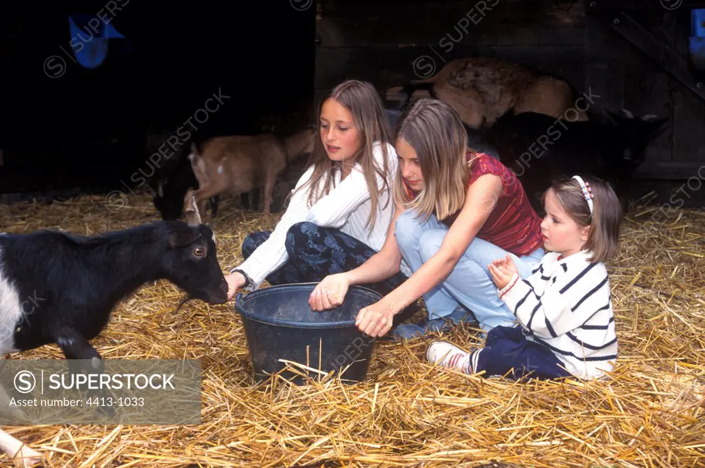 Girls and goat in farm France