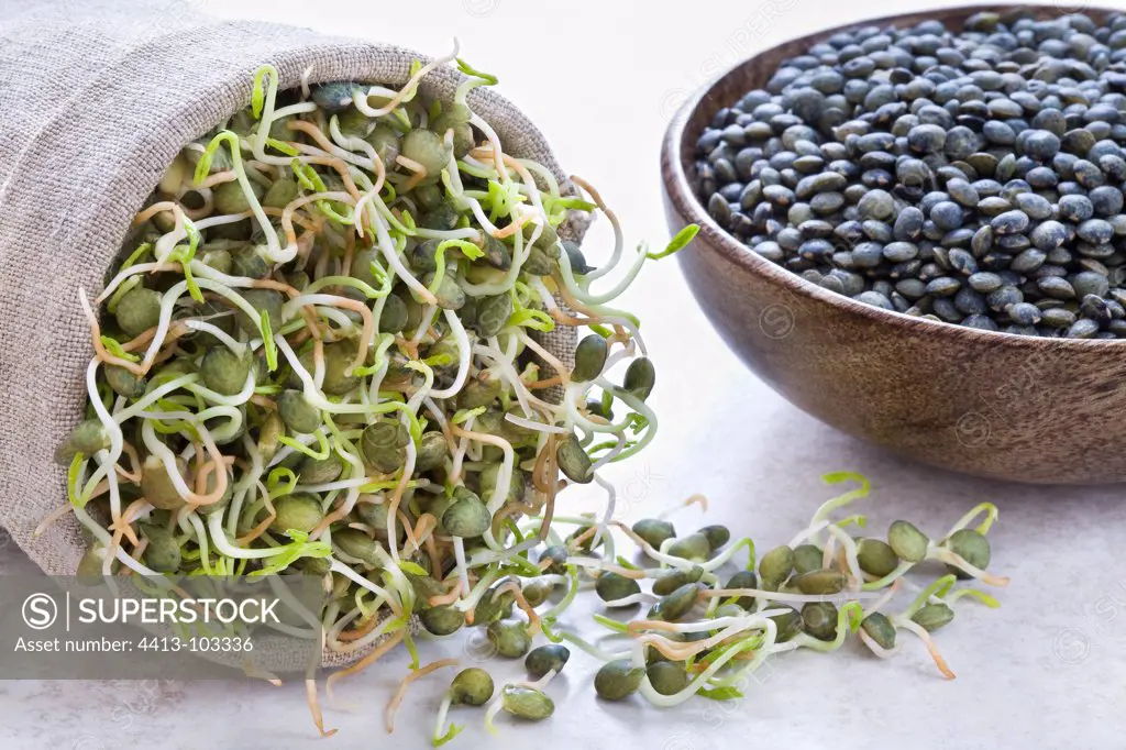 Shoots lenses bags and dry seeds in a bowl