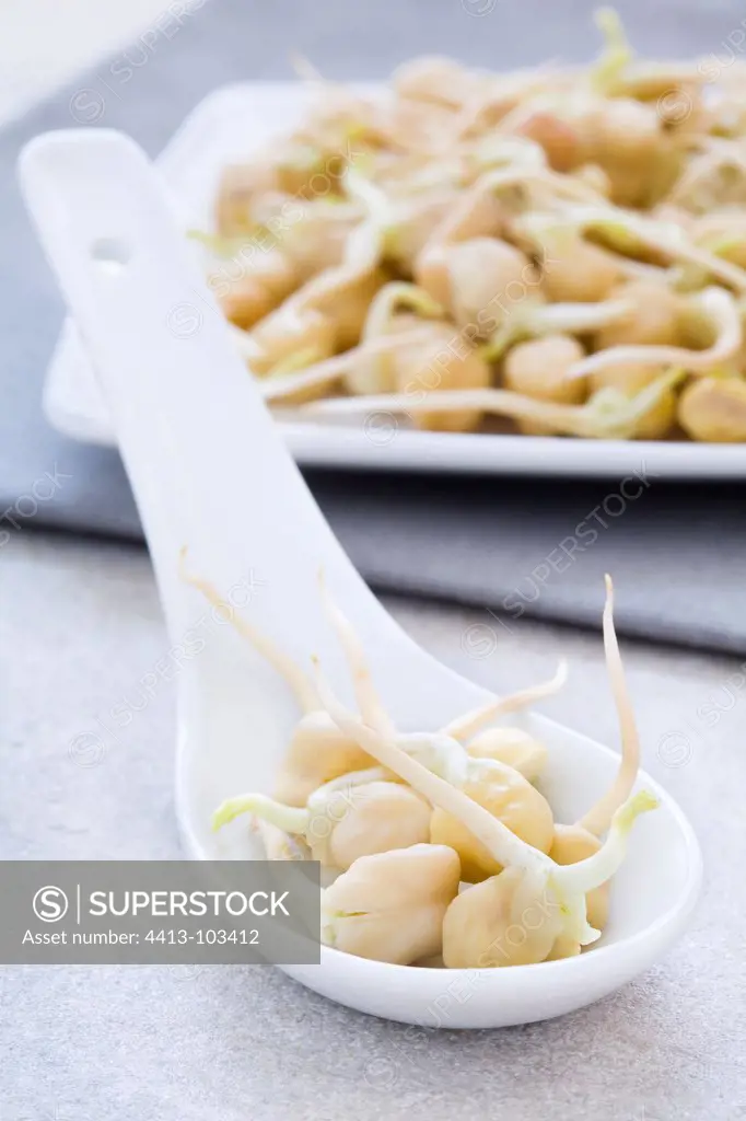 Sprouted chick peas in a white plate and spoon
