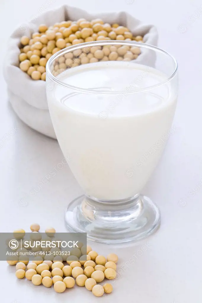Glass of soy milk and soy seeds