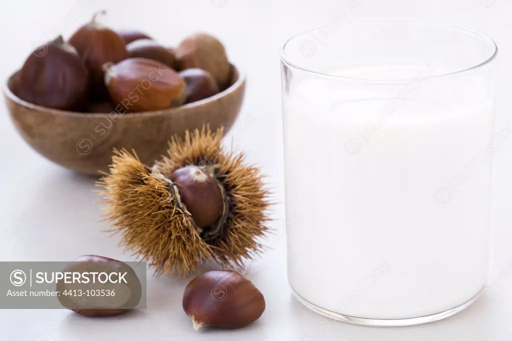 Glass of Chestnut Milk and Chestnuts bowl
