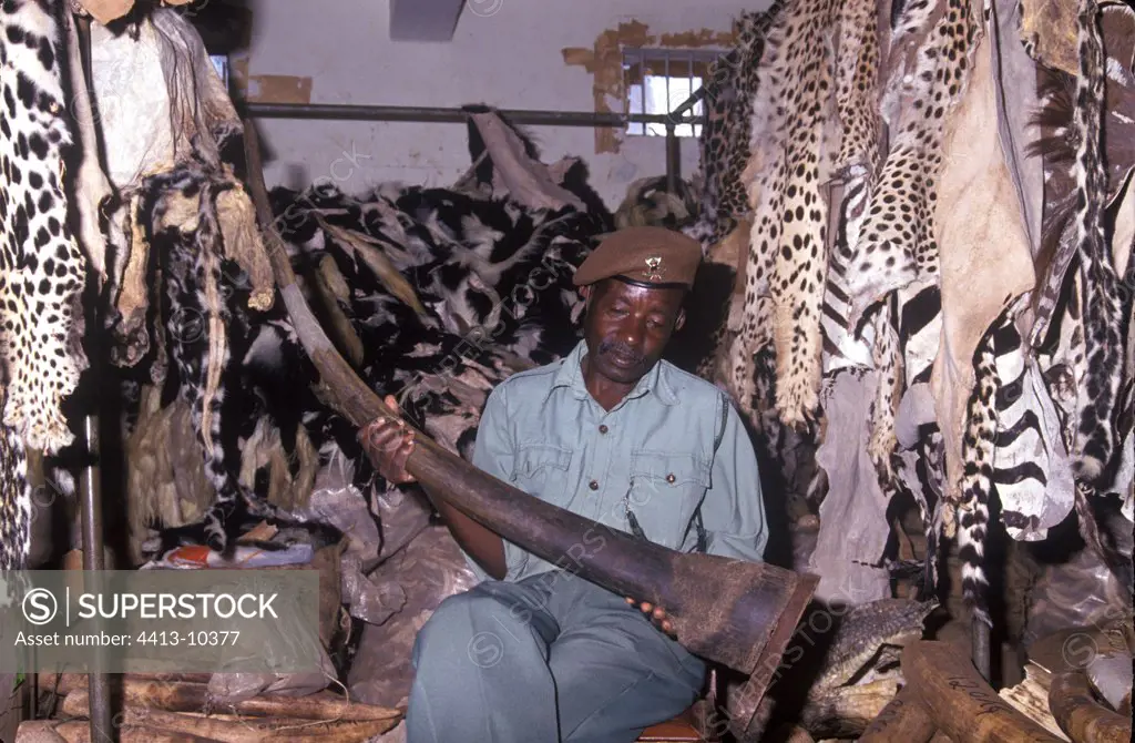 Ranger with the seized products of the poaching Kenya