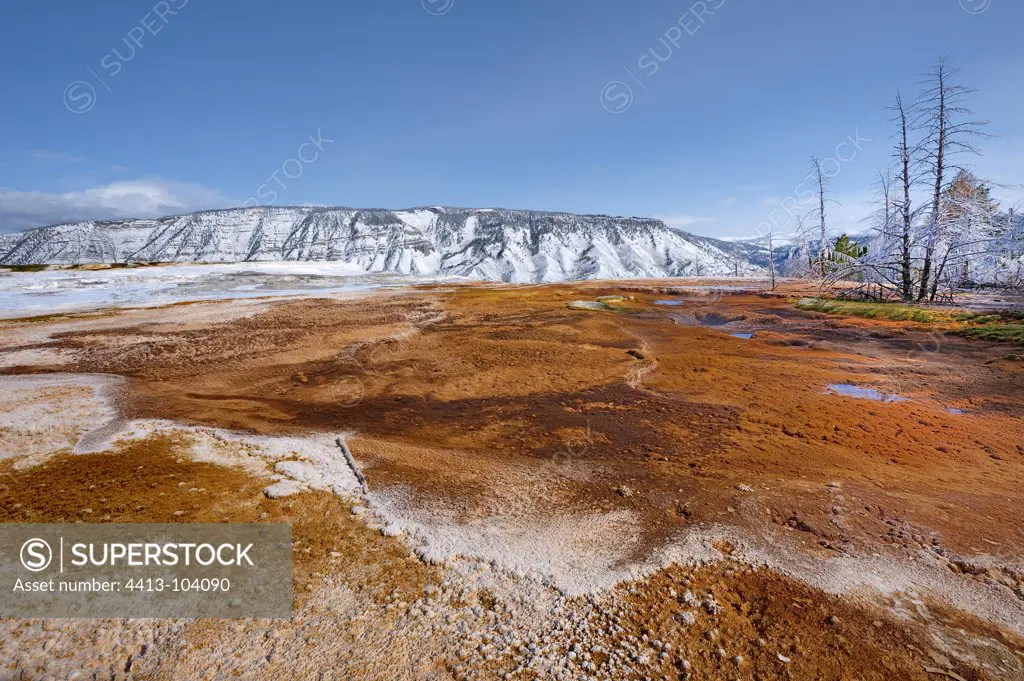 Canary Spring and Mount Everts at Mammoth Hot Springs USA