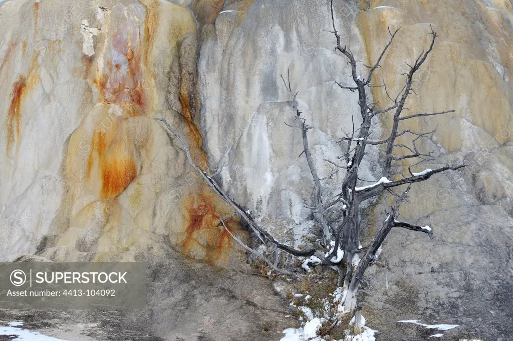 Formation limestone Orange Spring Mound Yellowstone USA
