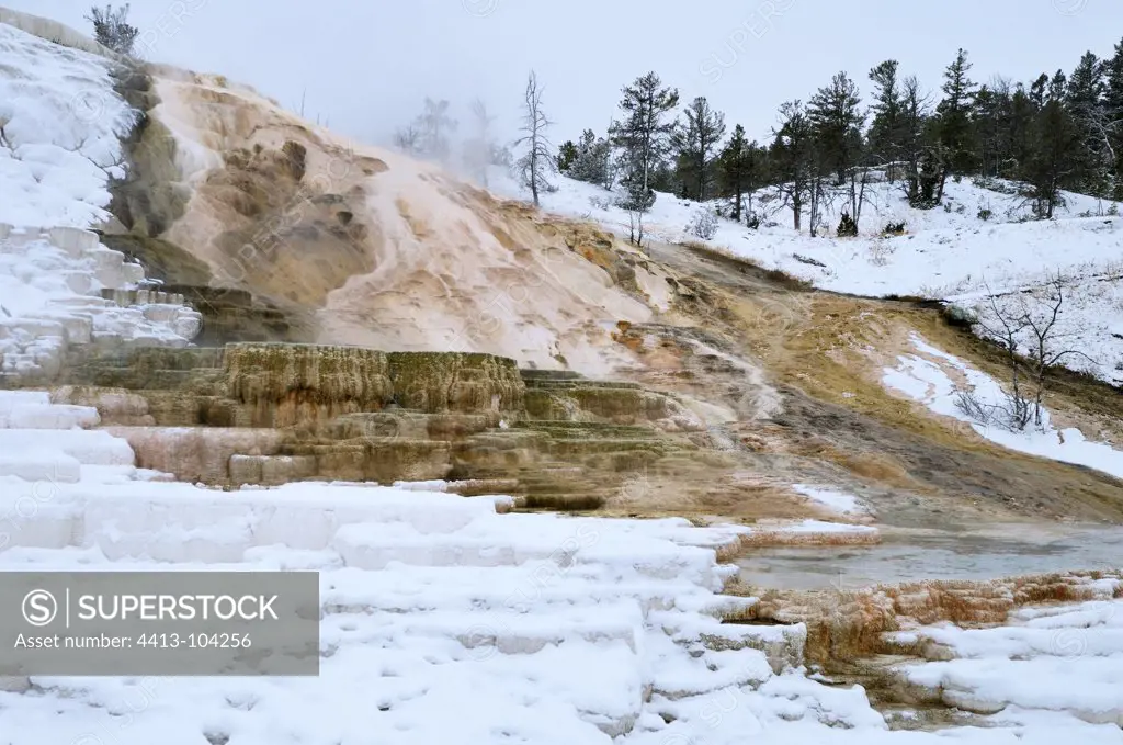 Palette Spring in the snow in Yellowstone NP USA