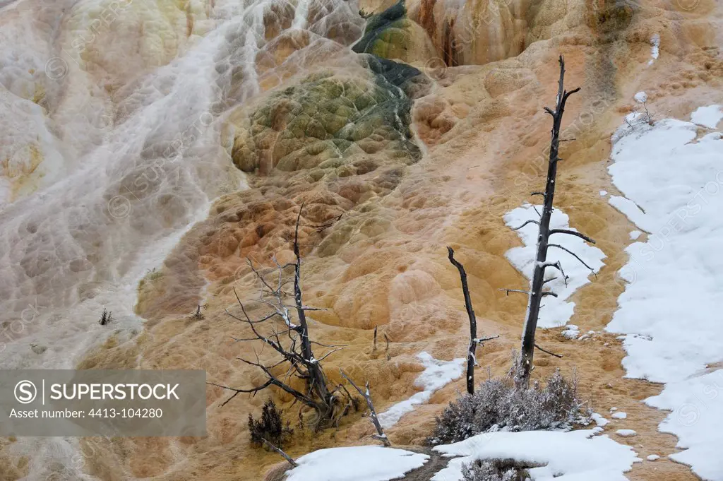 Palette Spring in the snow in Yellowstone NP USA