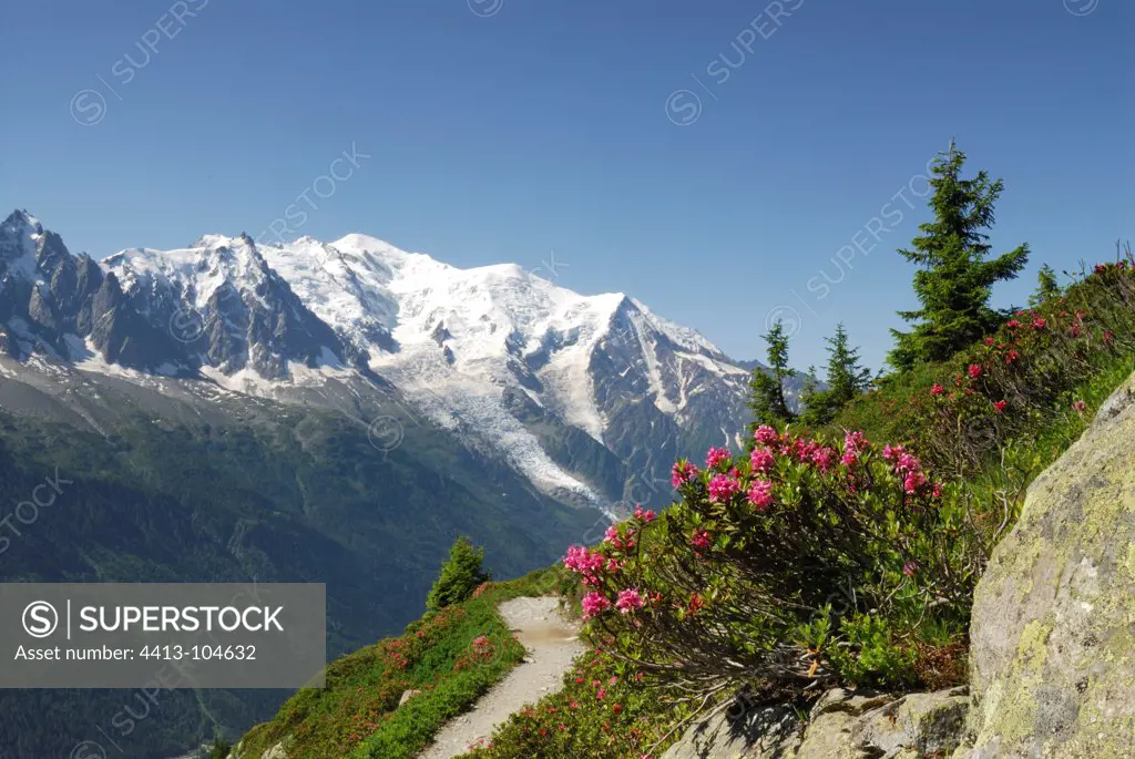 The Mont Blanc in the Alps France