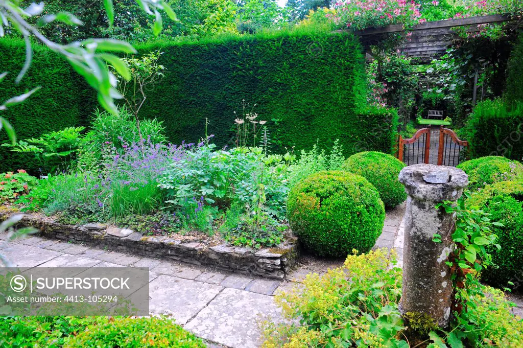 Garden path and perrenials in a garden