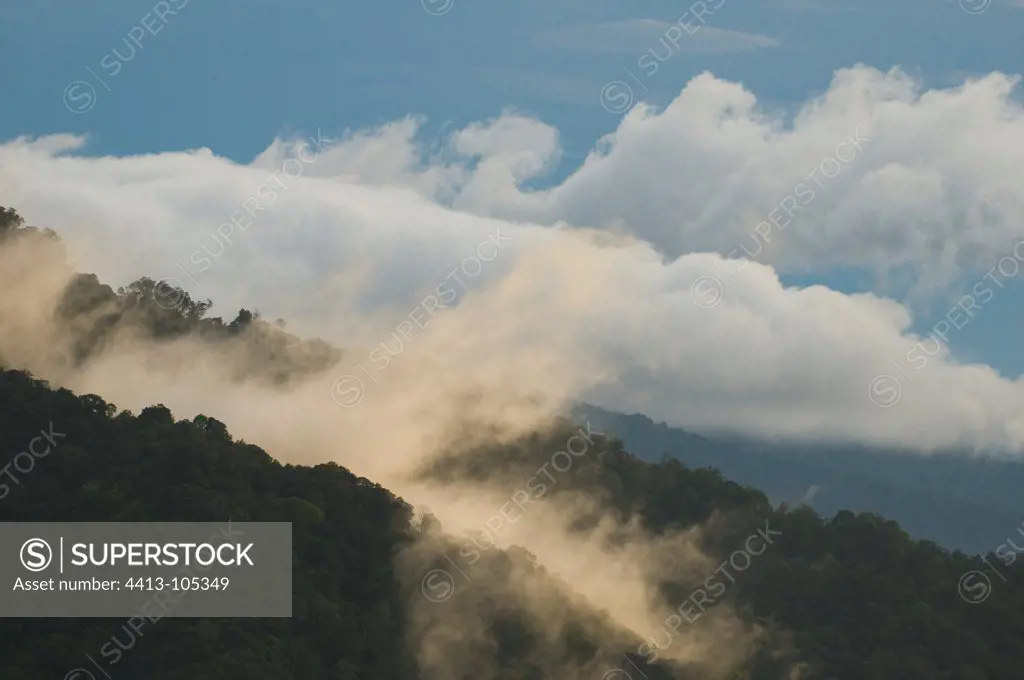 Mountain rainforest Mount Kinabalu Sabah Borneo Malaysia