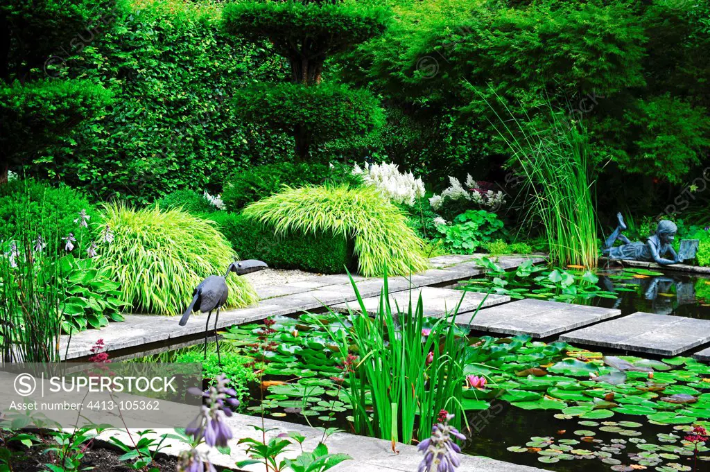 Hakone grass 'Aureola' and water lilies in a garden pound