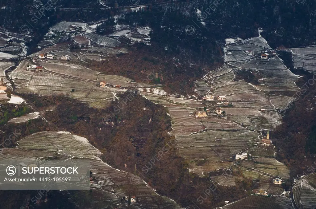 Landscape of vineyards near Bolzano South Tyrol Italy