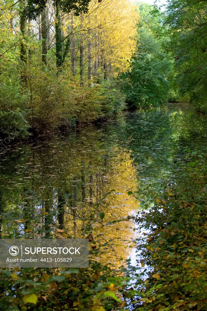 Reflection of trees in a river in autumn