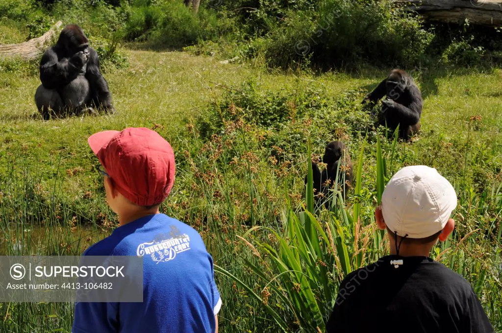 Children outside the island Gorillas Monkeys Valley France