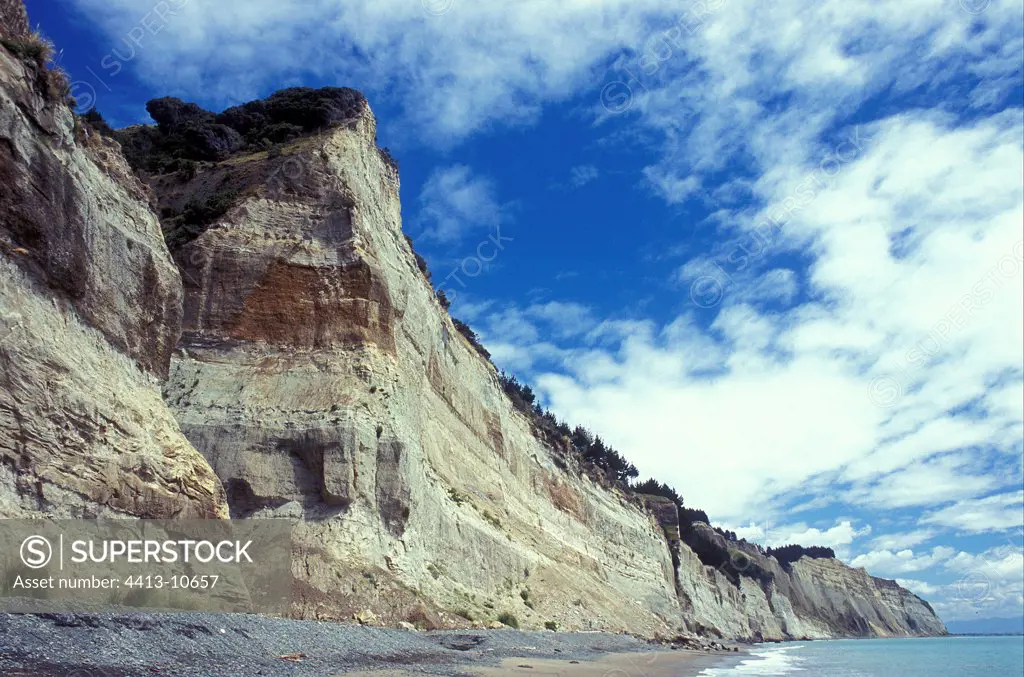 Seaside cliffs of crumbly rock New Zealand