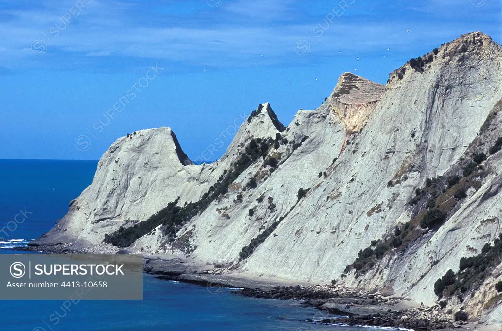 Seaside cliffs of crumbly rock New Zealand