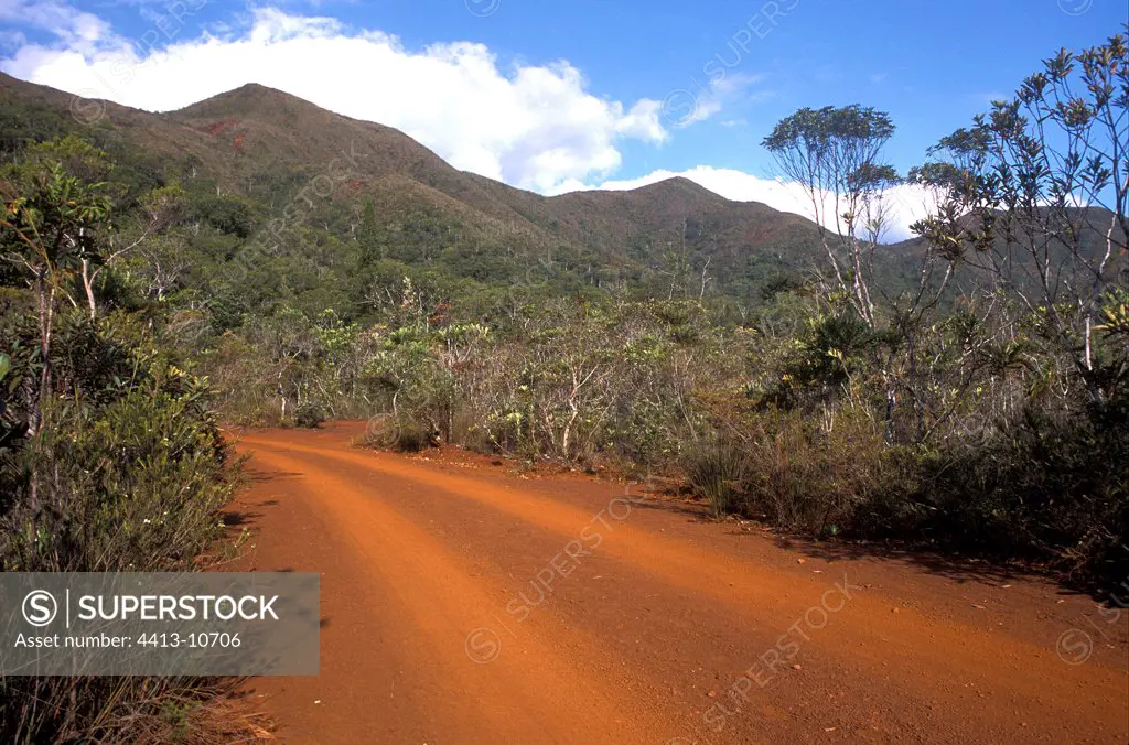 Track running through the maquis New Caledonia