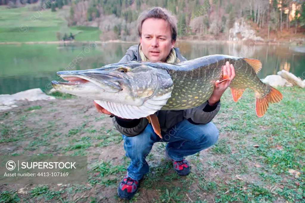 Presentation of a big pike male caught in river Doubs