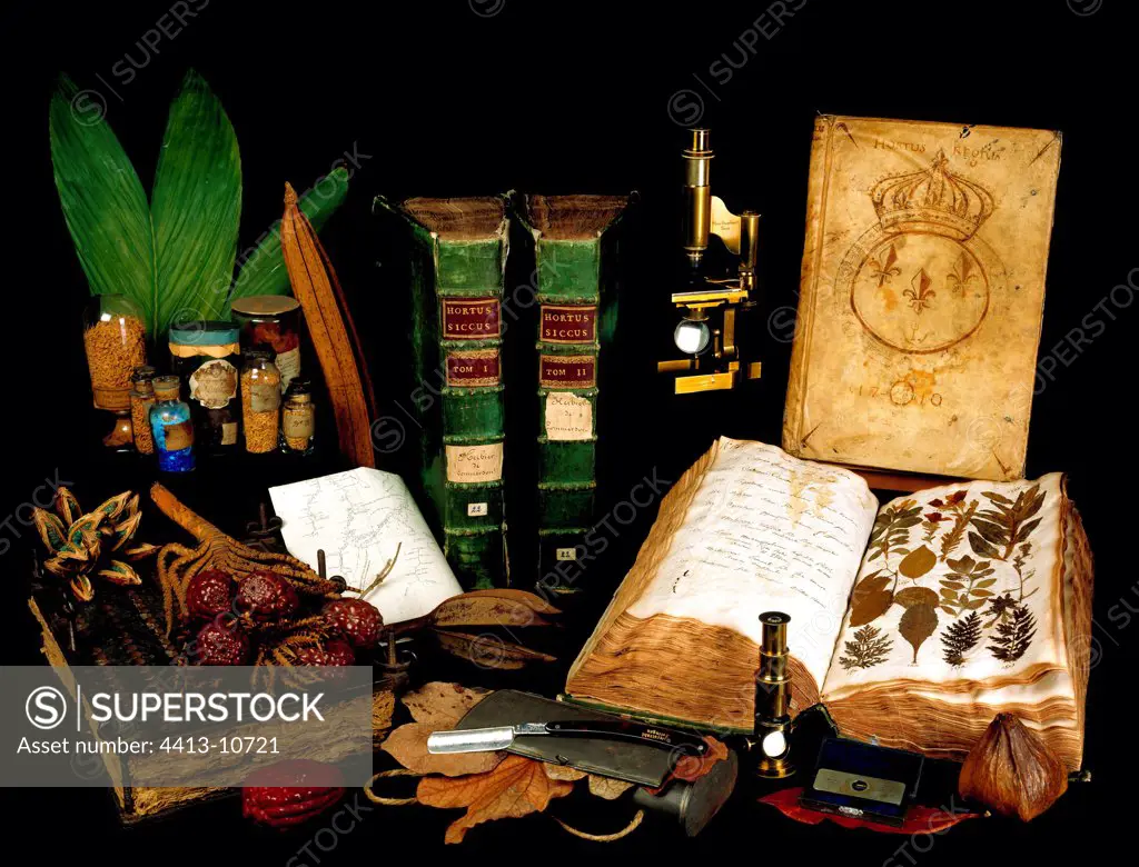 Herbarium material and historical herbarium of Commerson