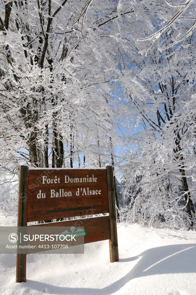 Panel NFB state forest Ballon d Alsace VosgesFrance