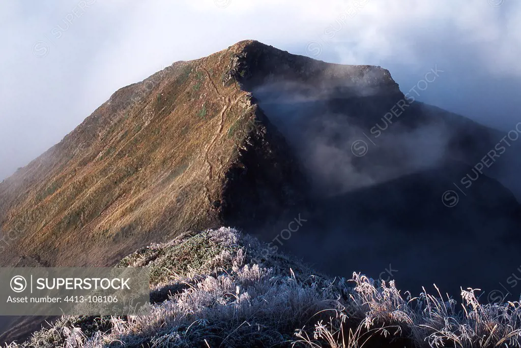 Plants and soil frosted Summit of Aiguillette des Houches