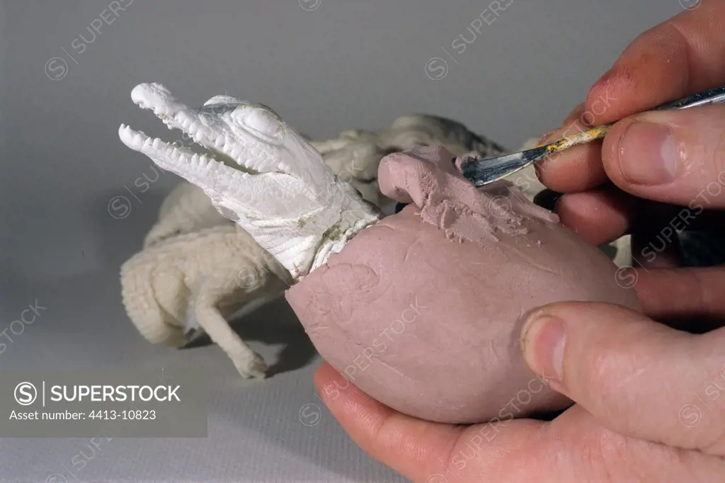 Polyurethane cast of a hatching crocodile