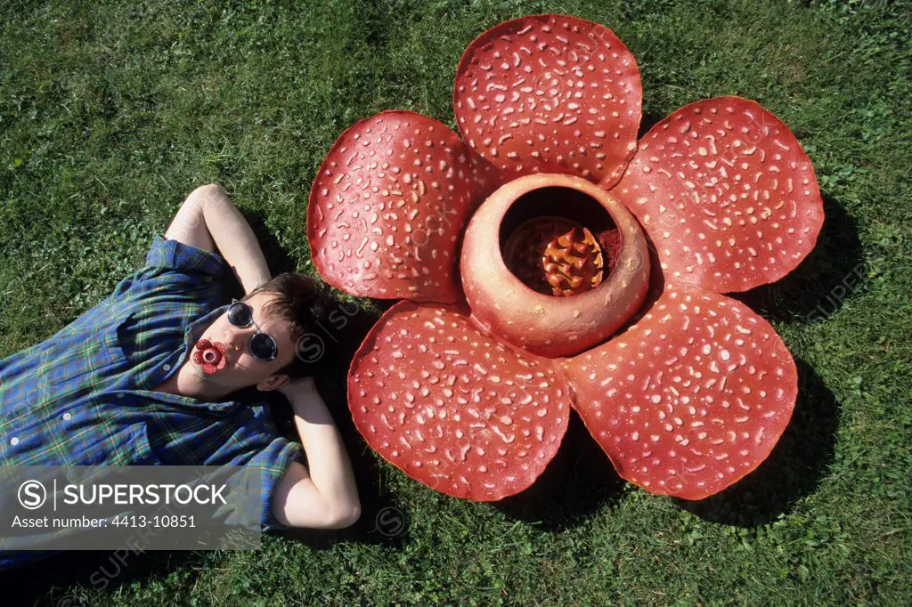 Thierry Boisgard laid down in grass with its Rafflesia