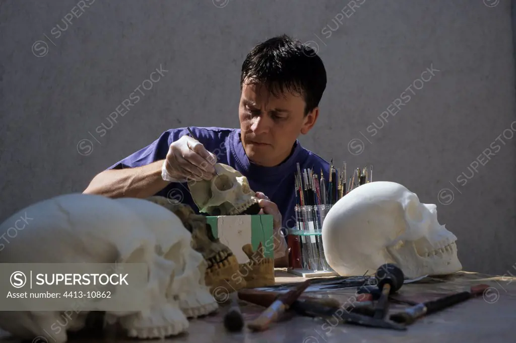 Chasing an ivory polyurethane resin cast of a human skull