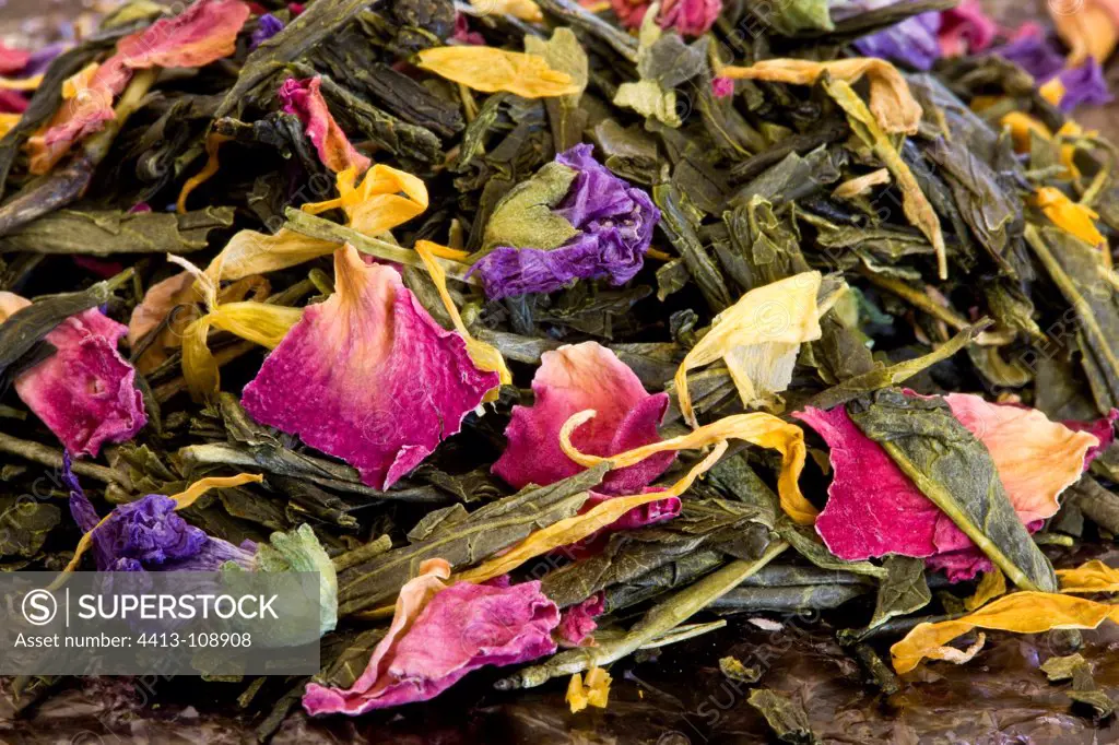 Green tea scented petal spinner 'Russian star'