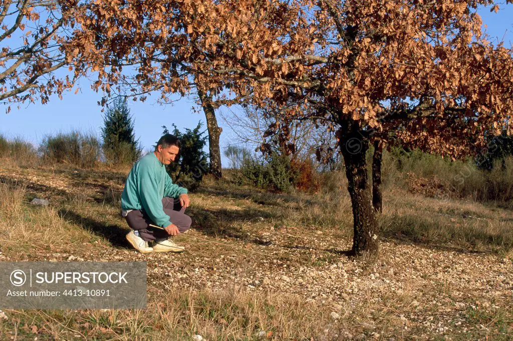 Search of the Black Truffle of Quercy with a Fly Lot France