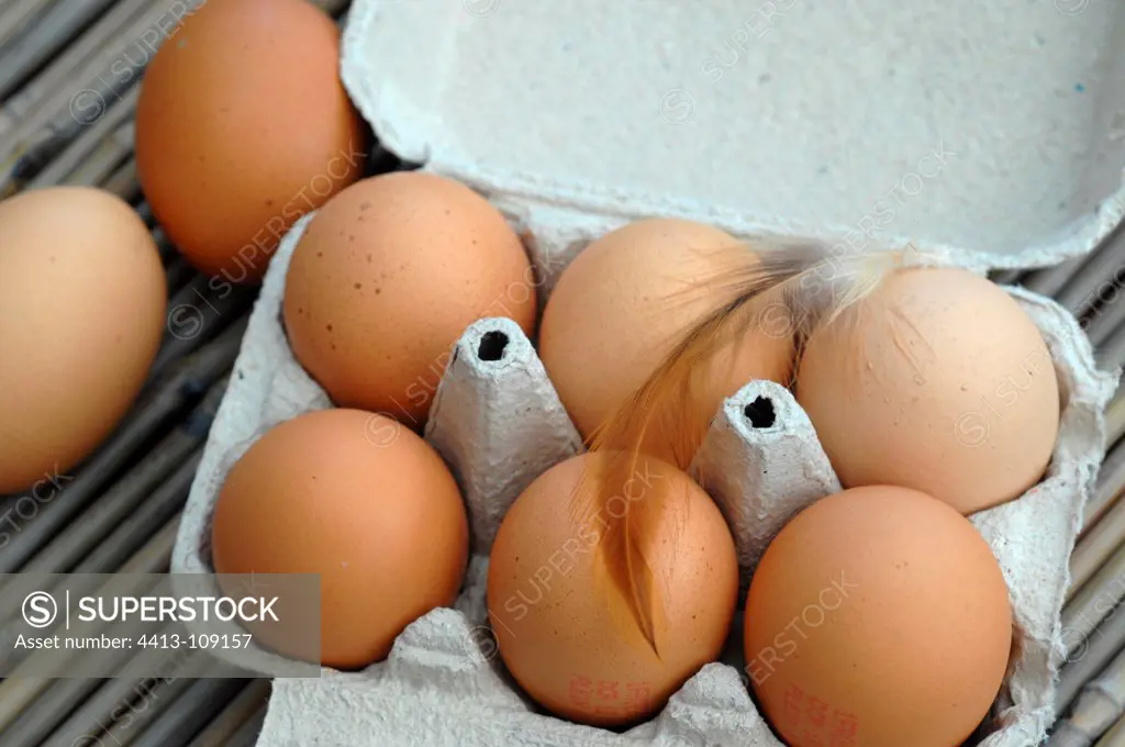 Chickens or eggs from poultry raised outdoors