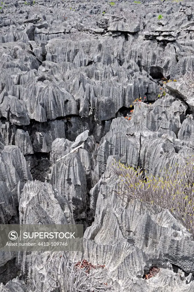 Tsingy limestone formations in Madagascar