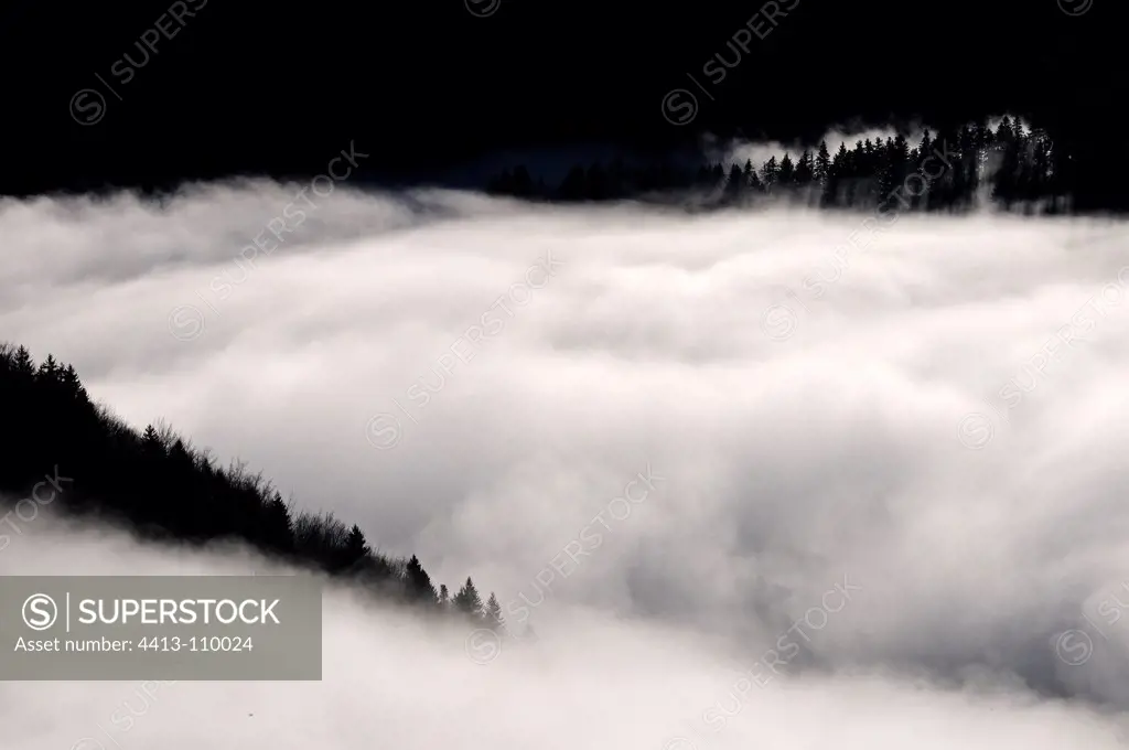 Morning fog in autumn in the valley of the Haut-Doubs France