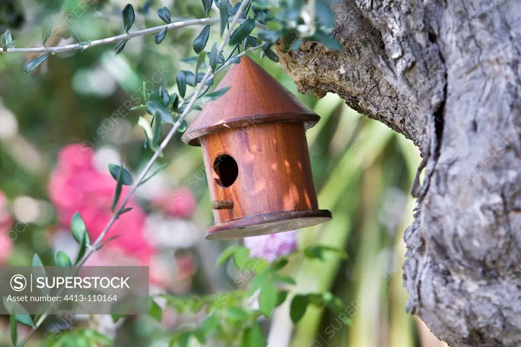 Birdhouse hanging in an Olivier in a garden in summer