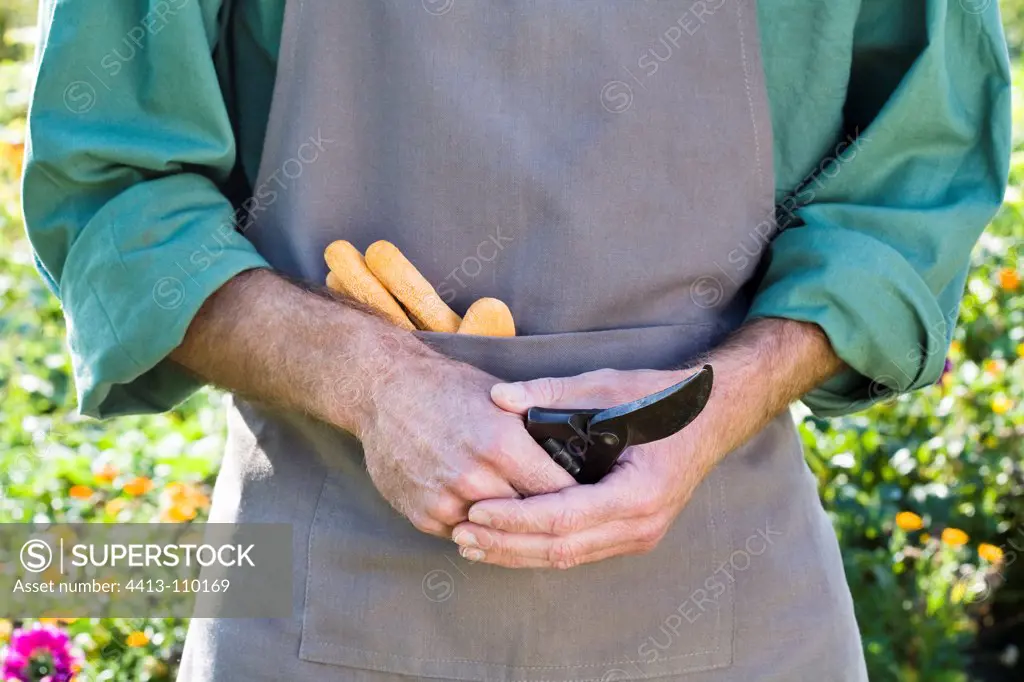 Gardener holding a clibber in a garden France